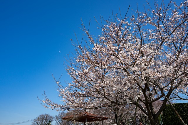 2019/4/14、29　土地探し相談会